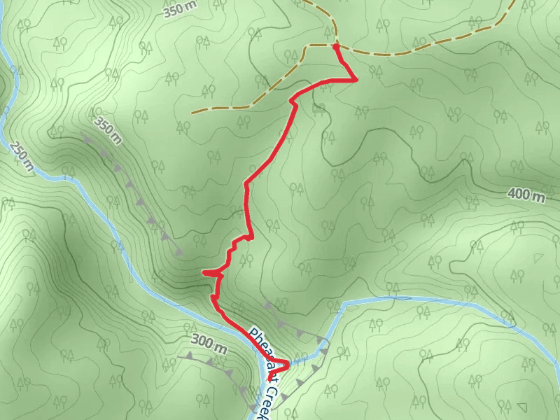 Pheasant Creek and Niagara Falls Trail