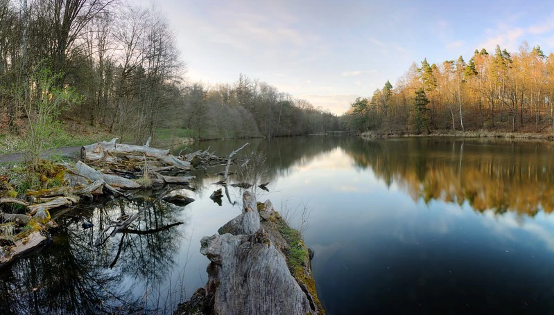 An image depicting the trail Pfaffensee and Bärensee Loop and its surrounding area.