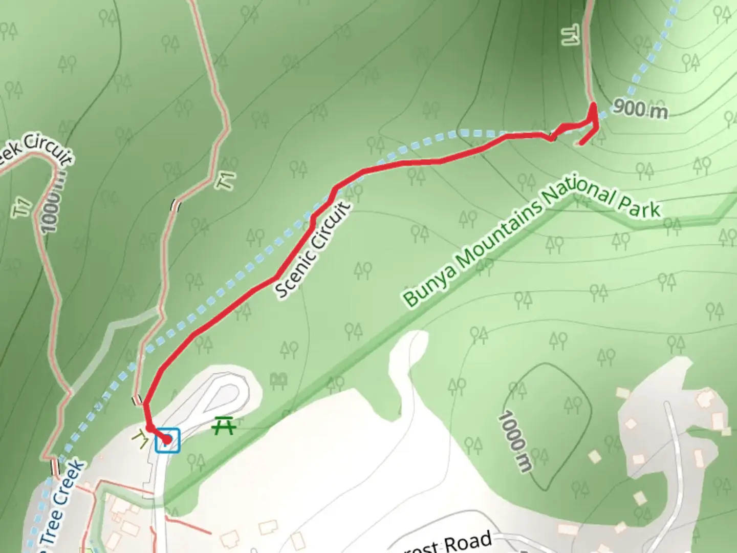 An image depicting the trail Festoon Falls Track and its surrounding area.