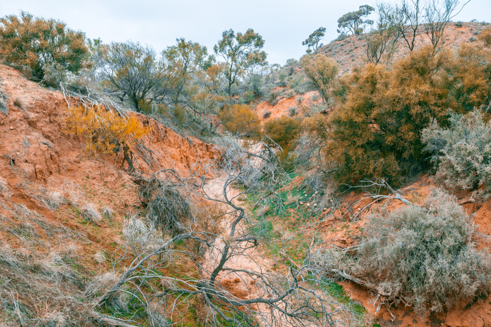 An image depicting the trail Mallee Circuit and its surrounding area.