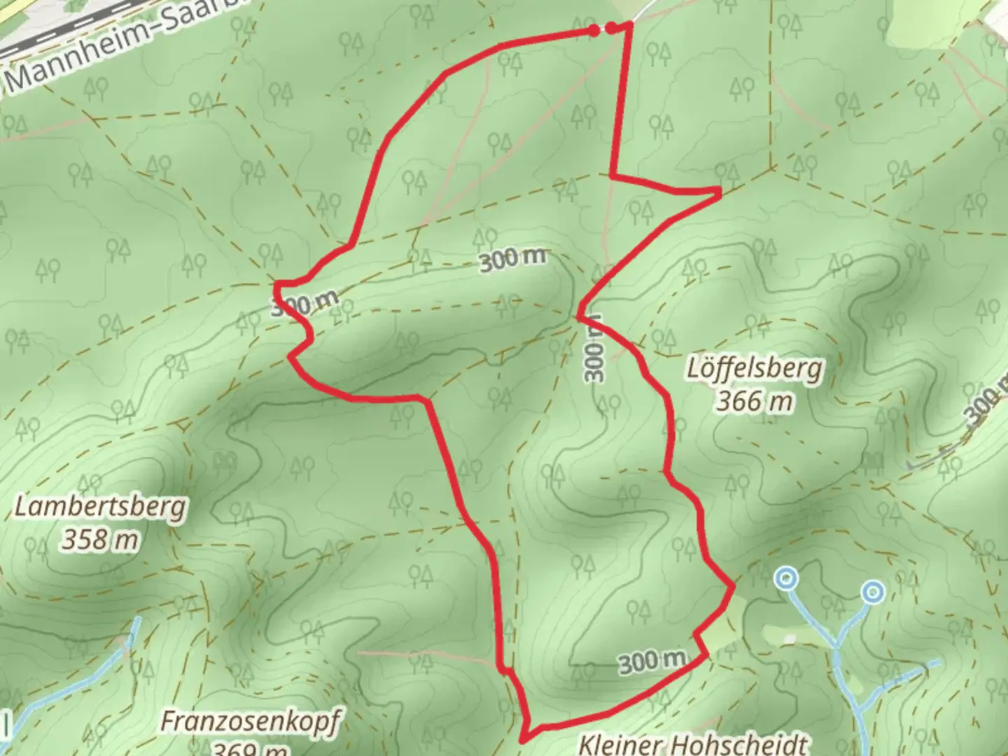 An image depicting the trail Prachtwald Loop and its surrounding area.