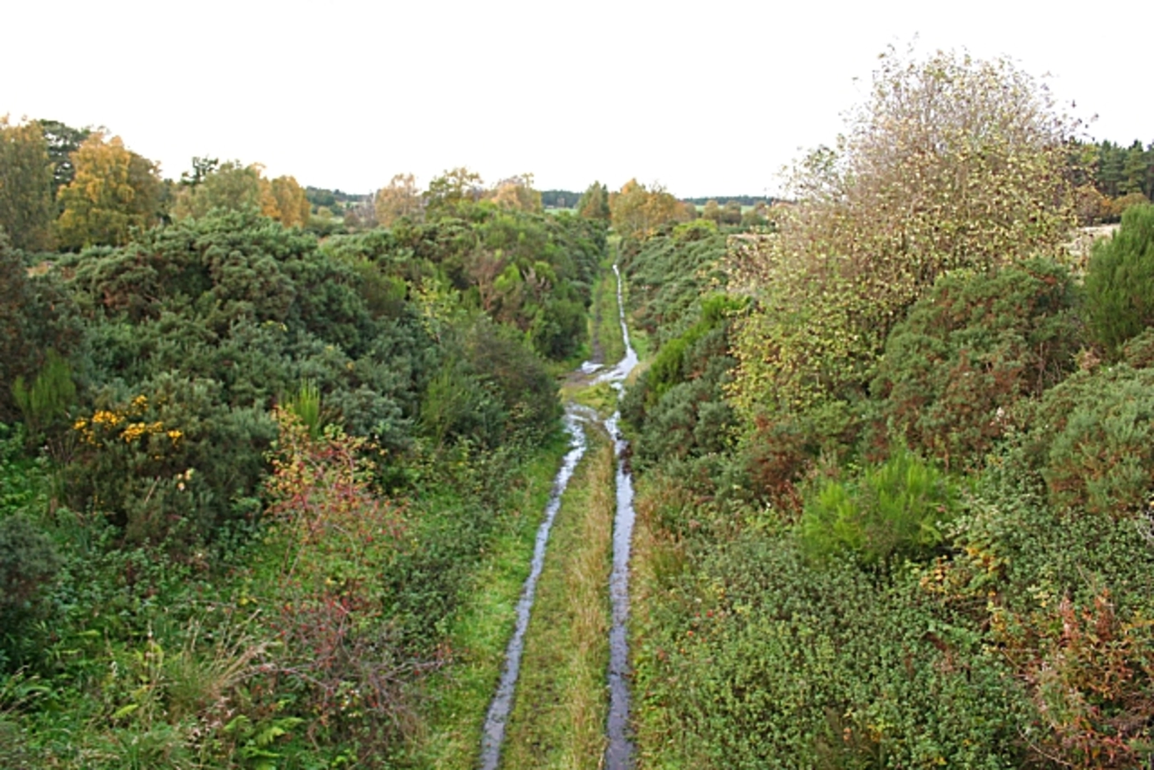 An image depicting the trail Dava Way and its surrounding area.