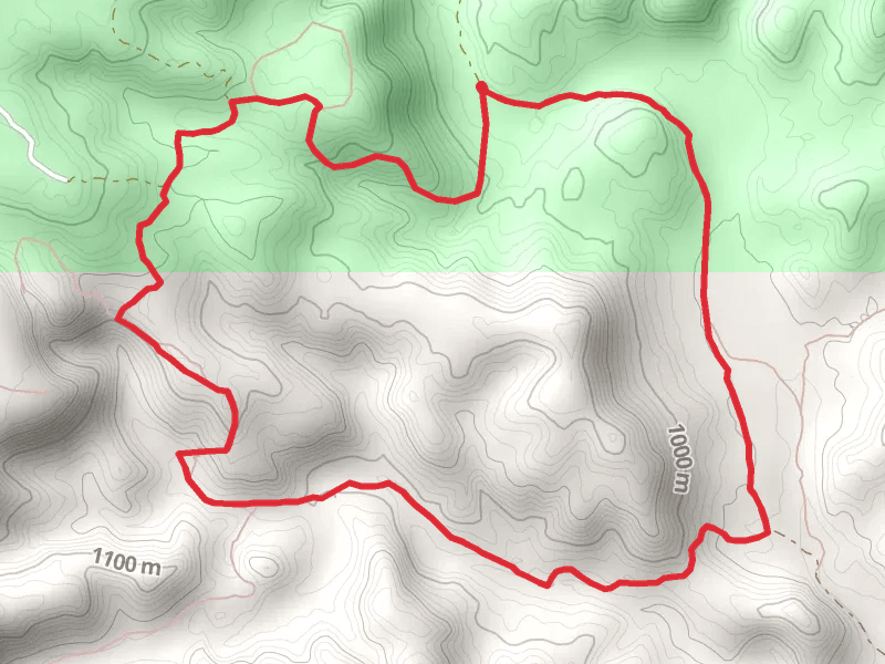 Chorro Canyon and Fresno Canyon Loop
