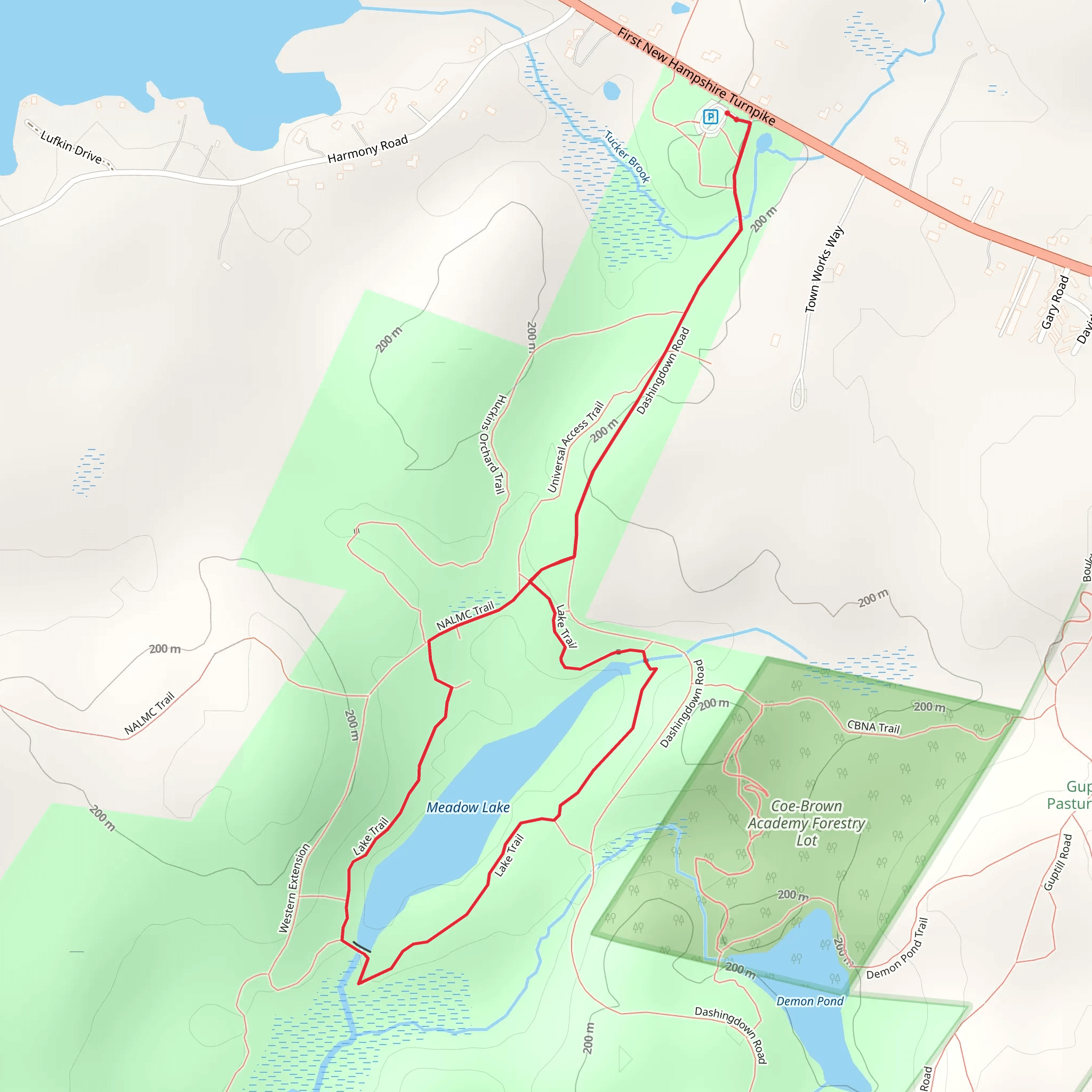 Meadow Lake via Dashingdown Road mobile static map