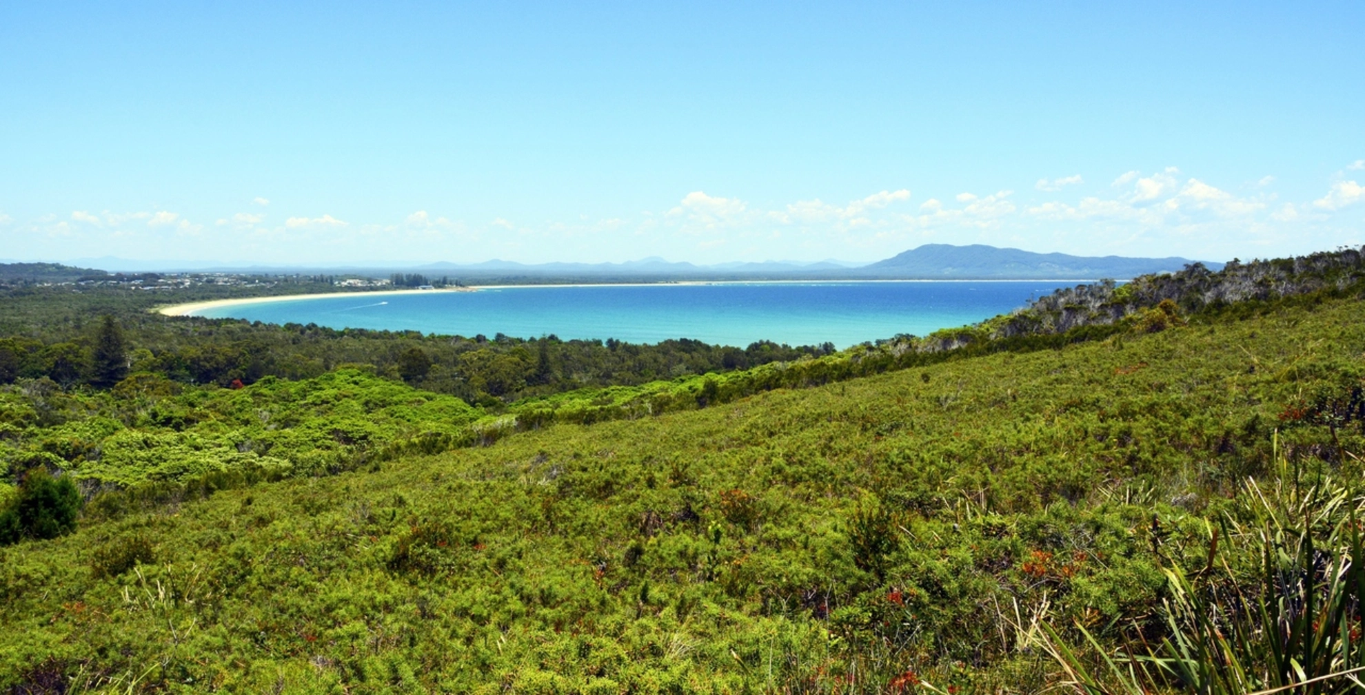 An image depicting the trail Monument Hill Track and its surrounding area.