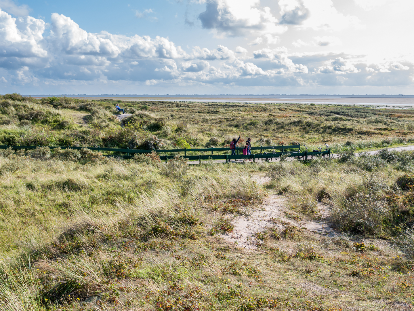 An image depicting the trail Ockesnol and Richel Weg Loop and its surrounding area.