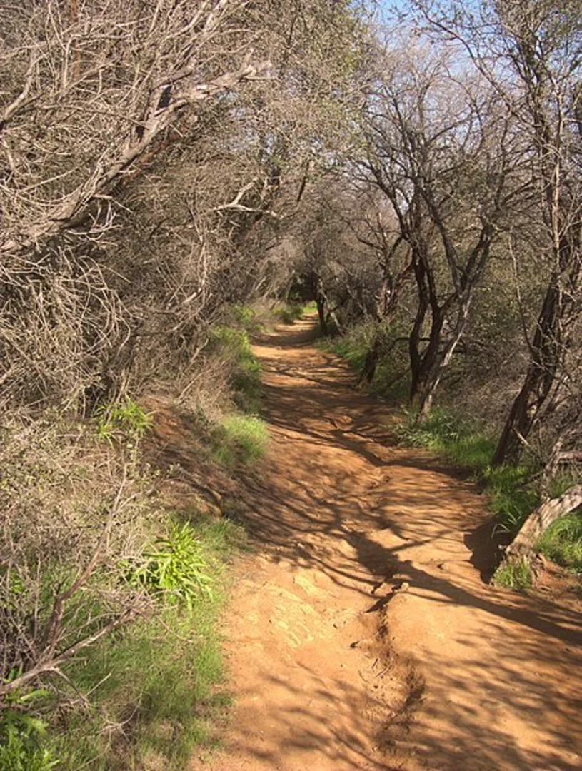 An image depicting the trail Temescal Canyon Trail and its surrounding area.