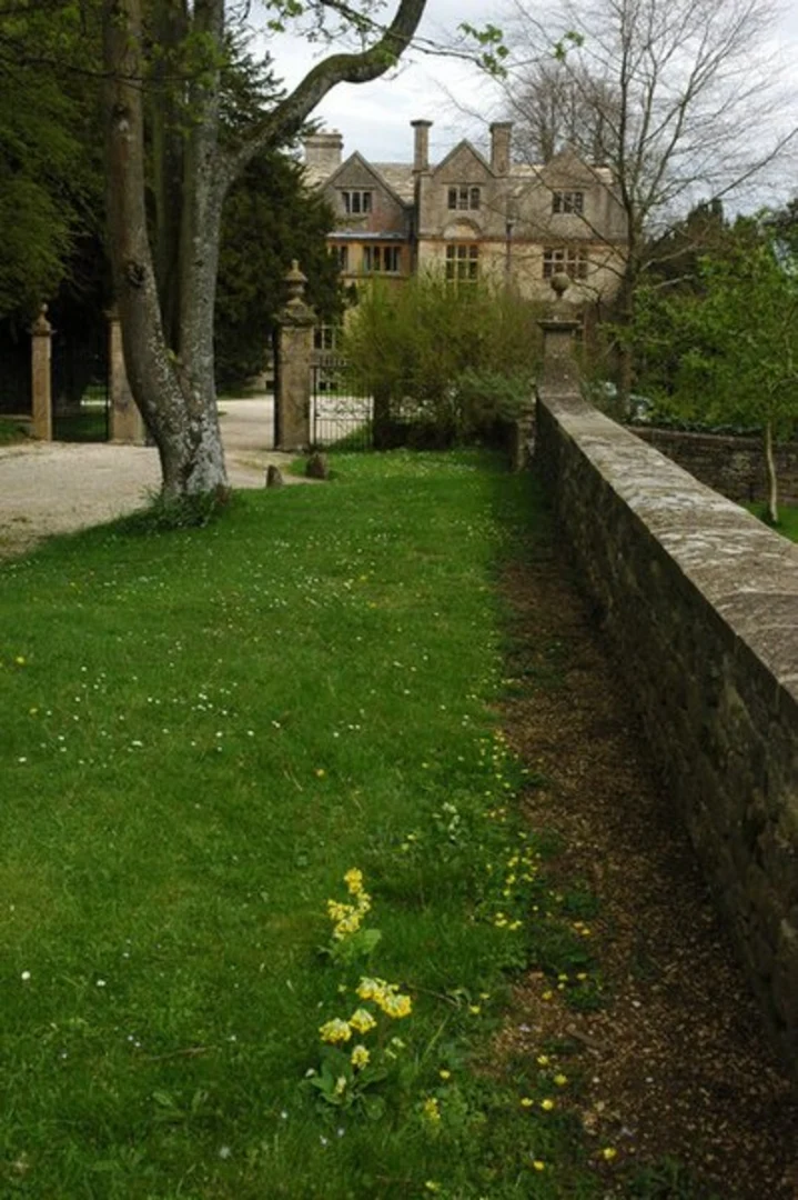 An image depicting the trail Ashcombe Bottom Loop and its surrounding area.