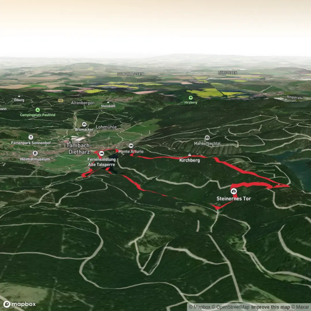 An image depicting the trail Naturpark Thüringer Wald - Aug. 23 mit pa and its surrounding area.
