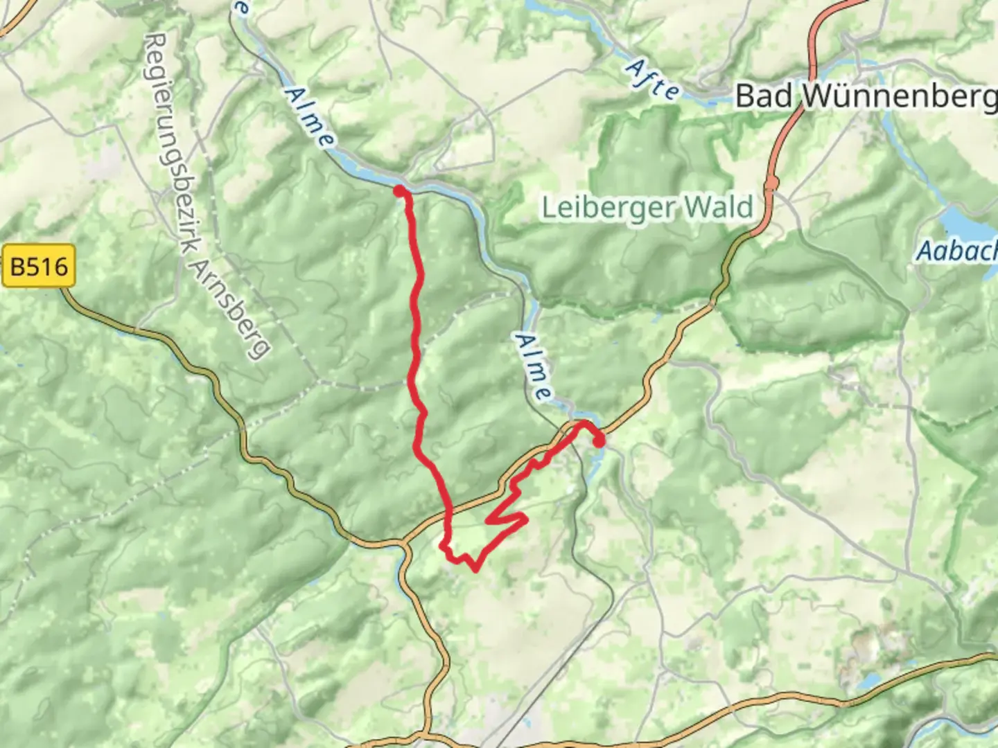 An image depicting the trail Ringelstein to Alme via Farrenkopf Grenzsteinweg and Kleiner Romberg and its surrounding area.