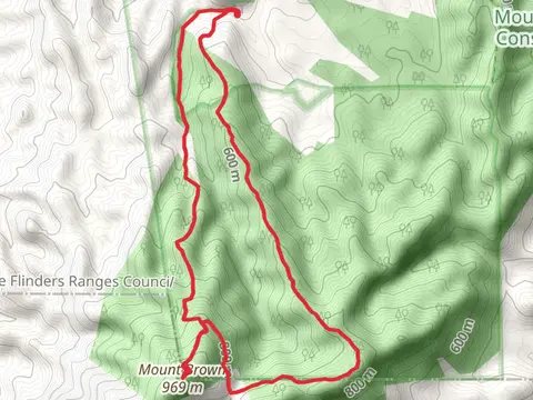 Mount Brown Summit Walk