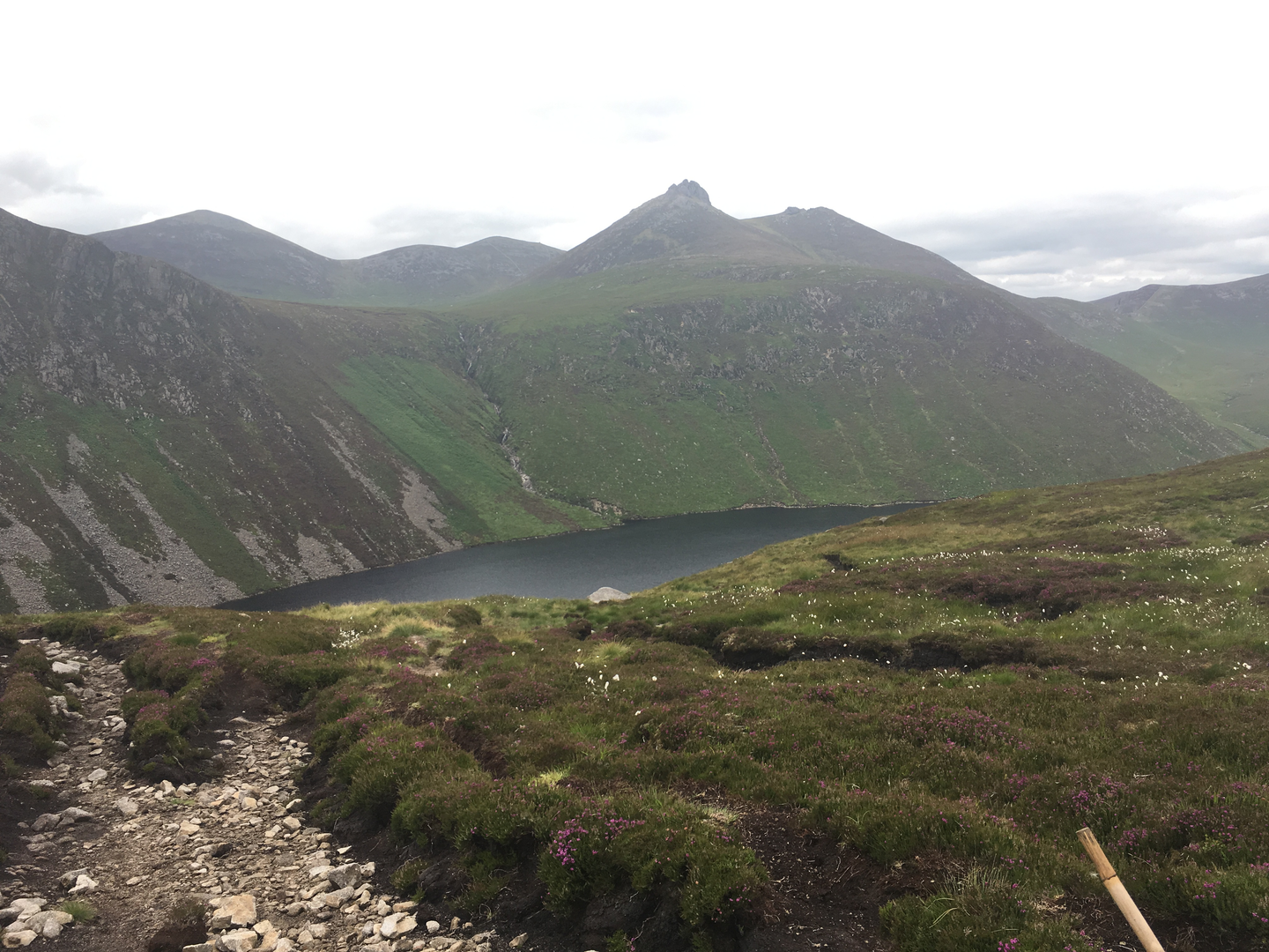 An image depicting the trail The Mournes Reservoir Views and its surrounding area.