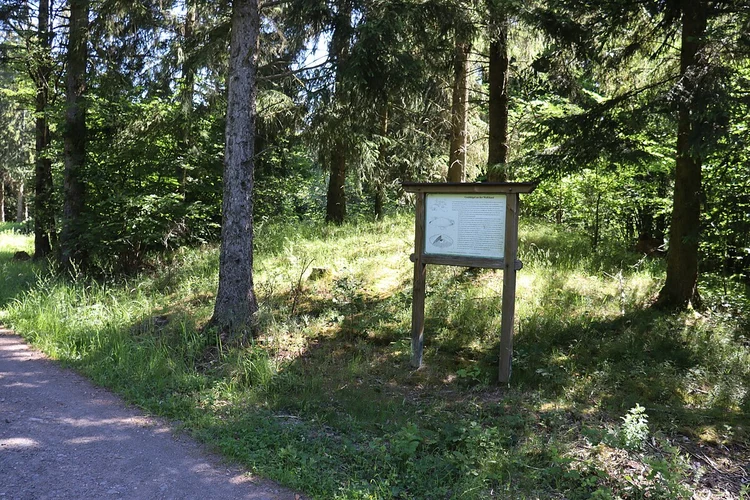Keltenweg and Gusbacher Strandweg