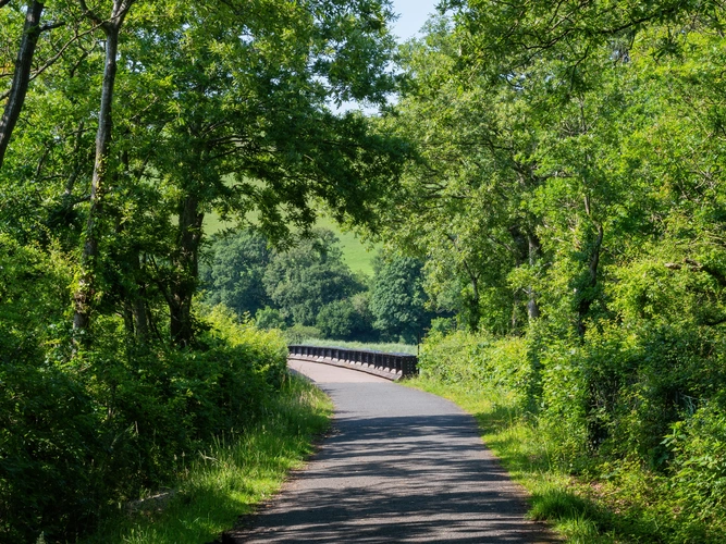 Southern Section - Tarka Trail