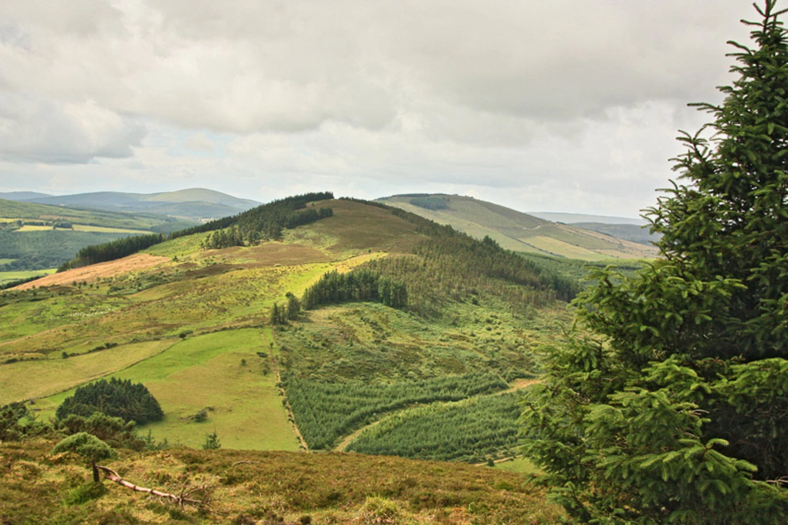 An image depicting the trail Ormond Way and its surrounding area.