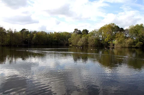 Longmoor Lake Loop