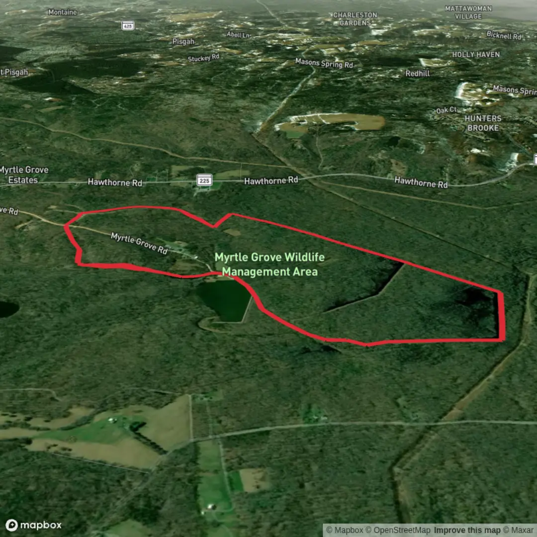 An image depicting the trail Greentea Pond and Myrtle Grove Wildlife Loop and its surrounding area.