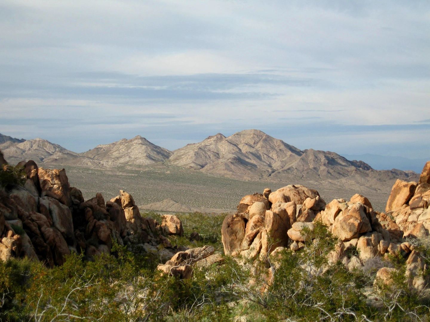 An image depicting the trail Cleghorn Mountain via Elliot Ranch Road and its surrounding area.