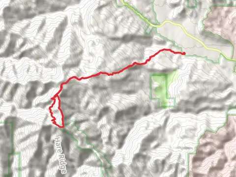 Cone Peak Loop via Carrizo Creek Trail