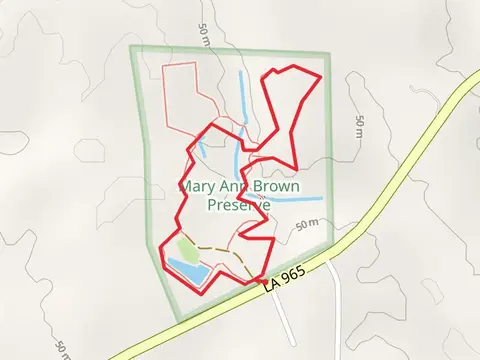 American Beech Loop and Main Trail