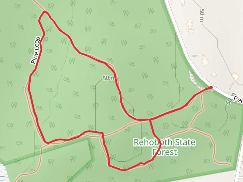 Rehoboth State Forest Loop Trail