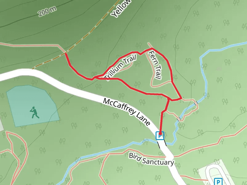 Wildflower and Swamp Loop Trail