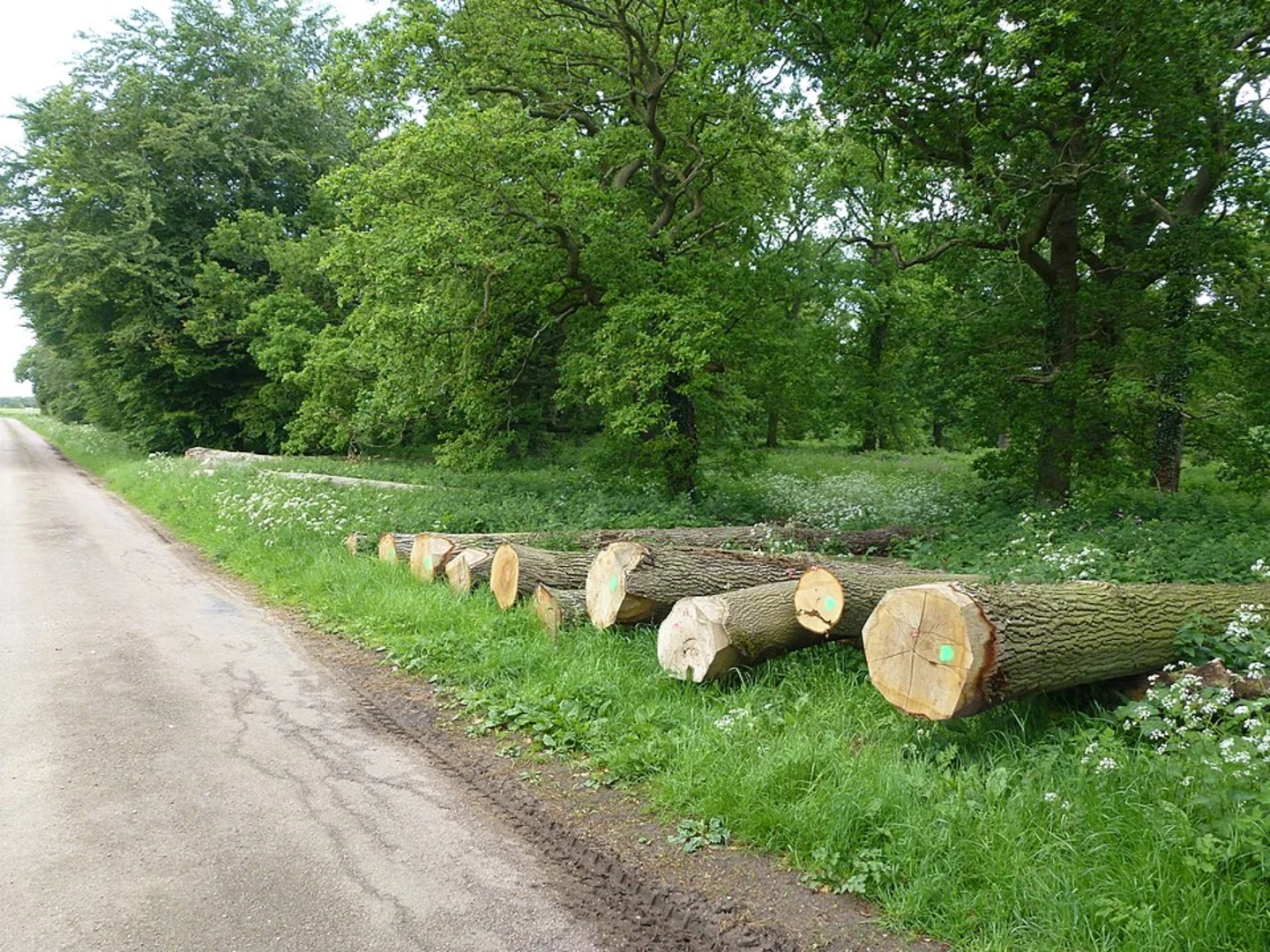 An image depicting the trail Binham Country Park Loop and its surrounding area.