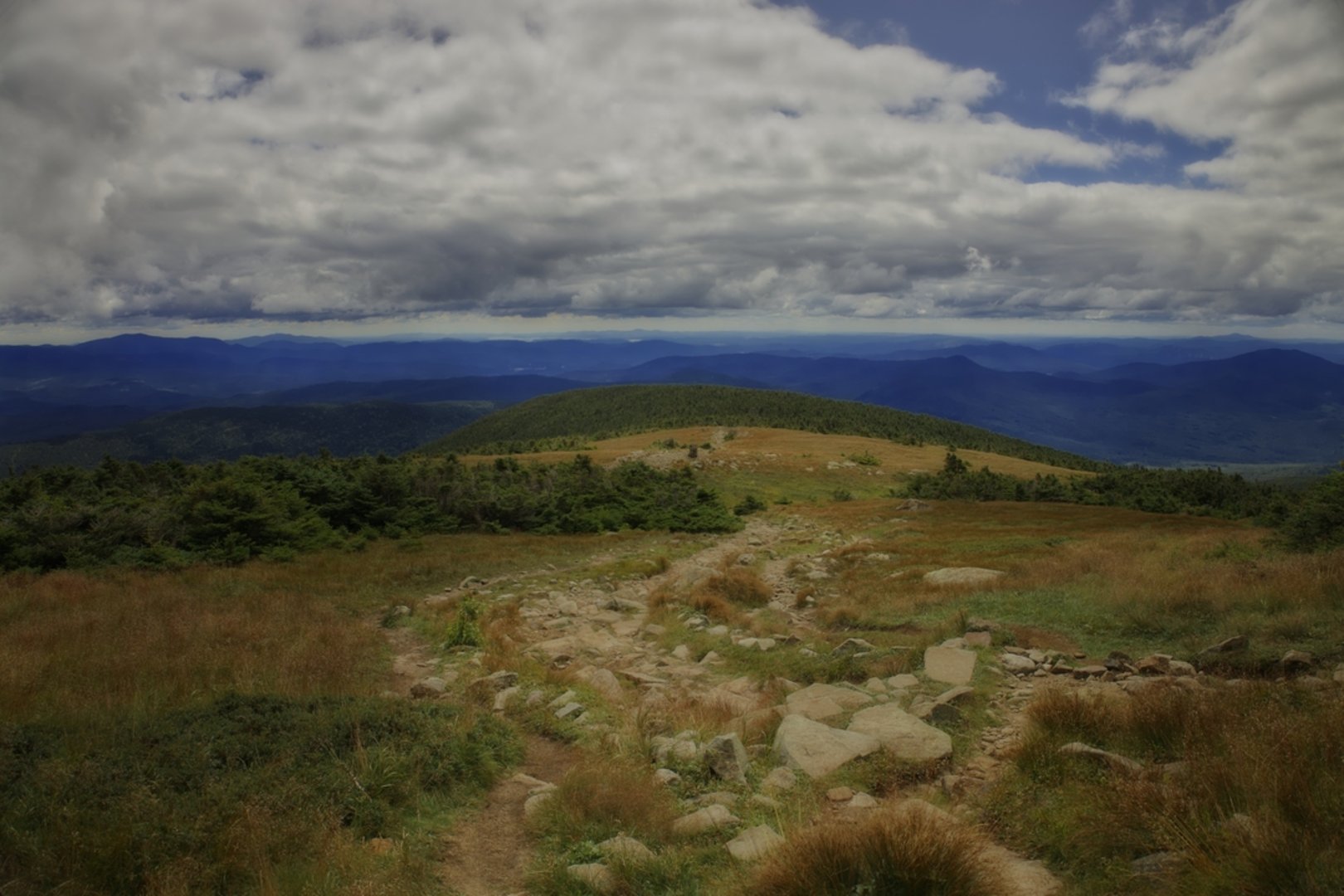 An image depicting the trail Townline Trail and its surrounding area.