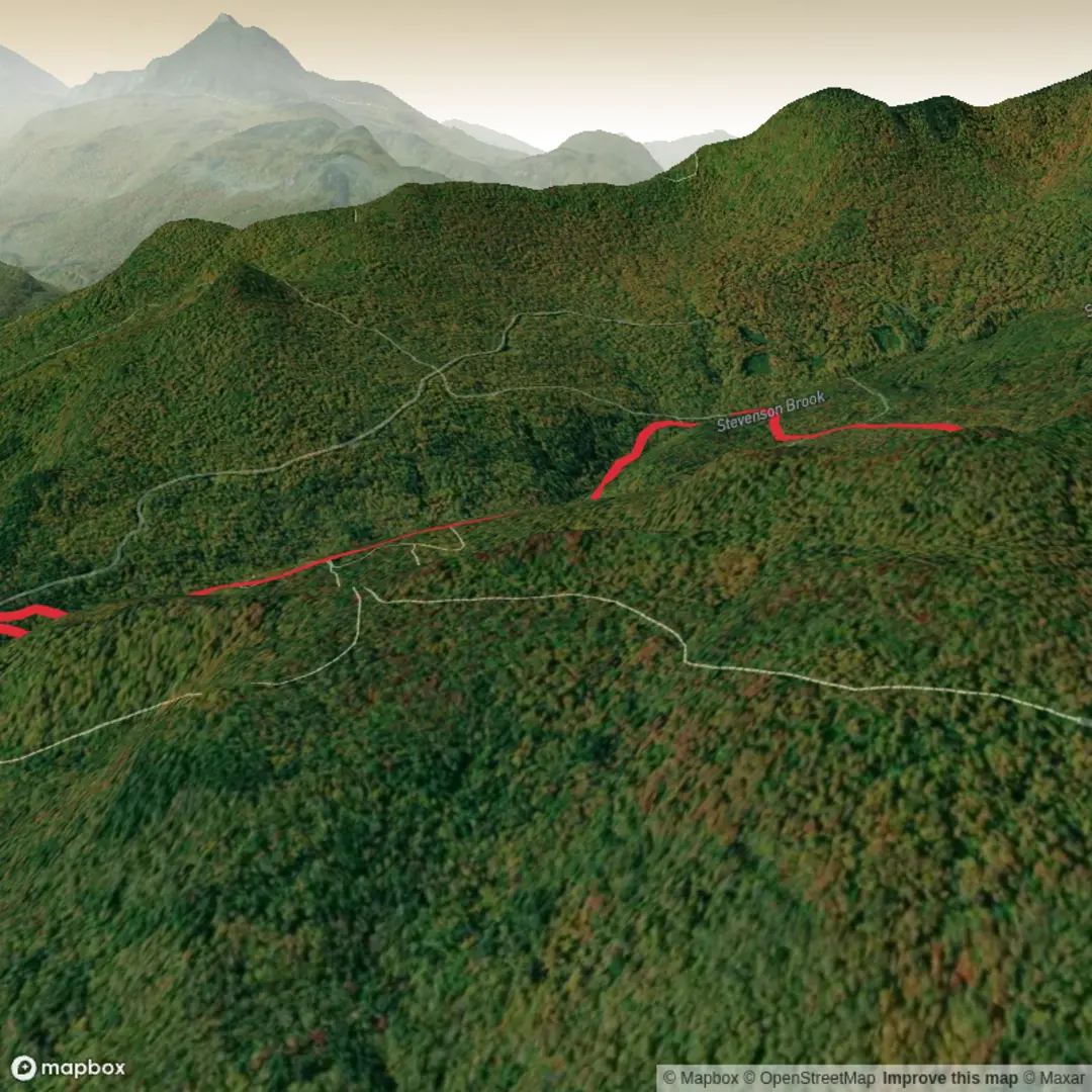 An image depicting the trail Steven Brook Trail and Dalley Loop and its surrounding area.