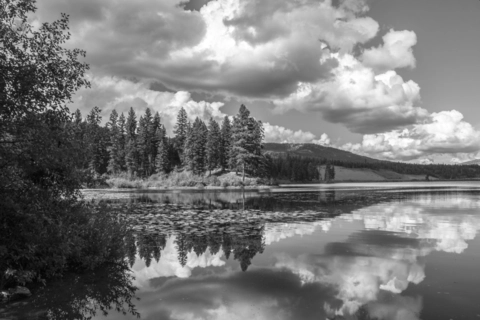 Thompson Lake Trail