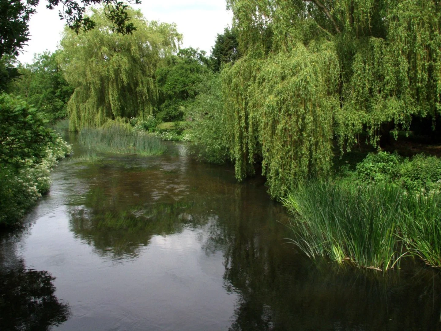 An image depicting the trail Broadwater Brook and Loddon Loop and its surrounding area.