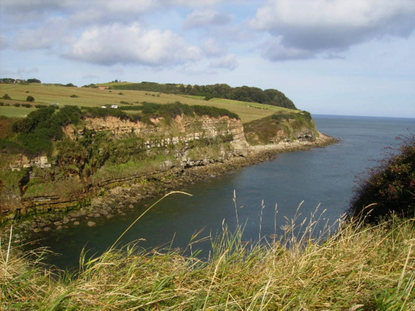 An image depicting the trail Hayburn Wyle via The Cinder Track and its surrounding area.