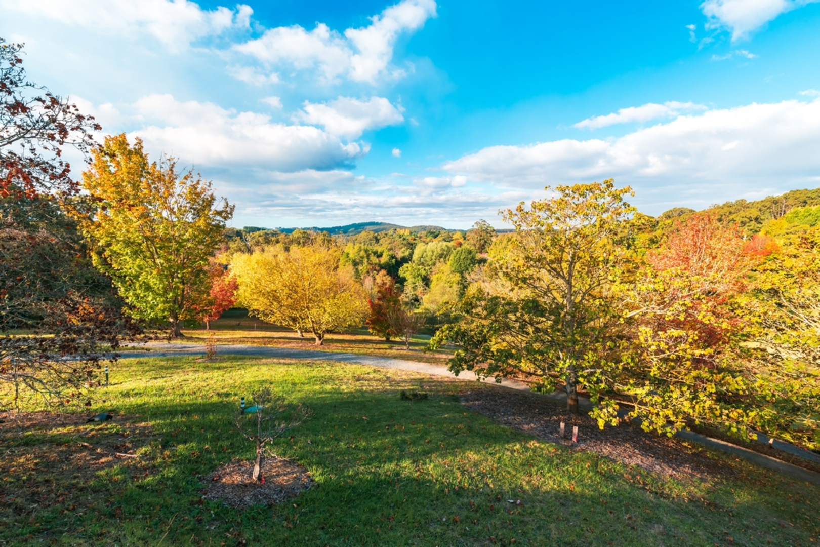 An image depicting the trail Heysen Trail - Mt Lofty Circuit Walk and its surrounding area.