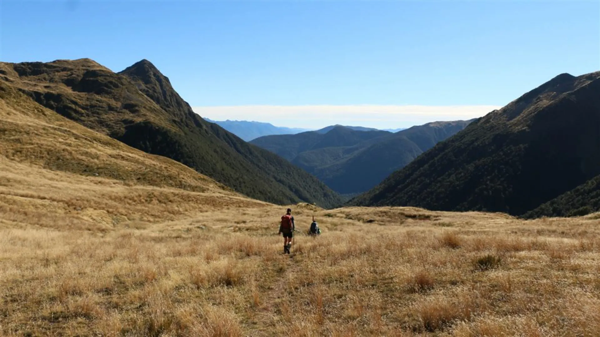 An image depicting the trail Rough Creek Track and its surrounding area.