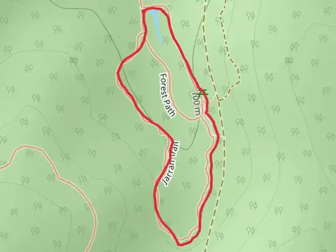 Jarrah Walk