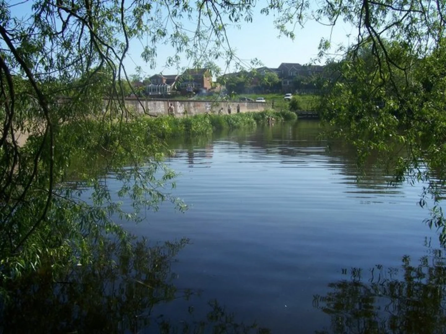 An image depicting the trail Westwood Country Park Loop and its surrounding area.