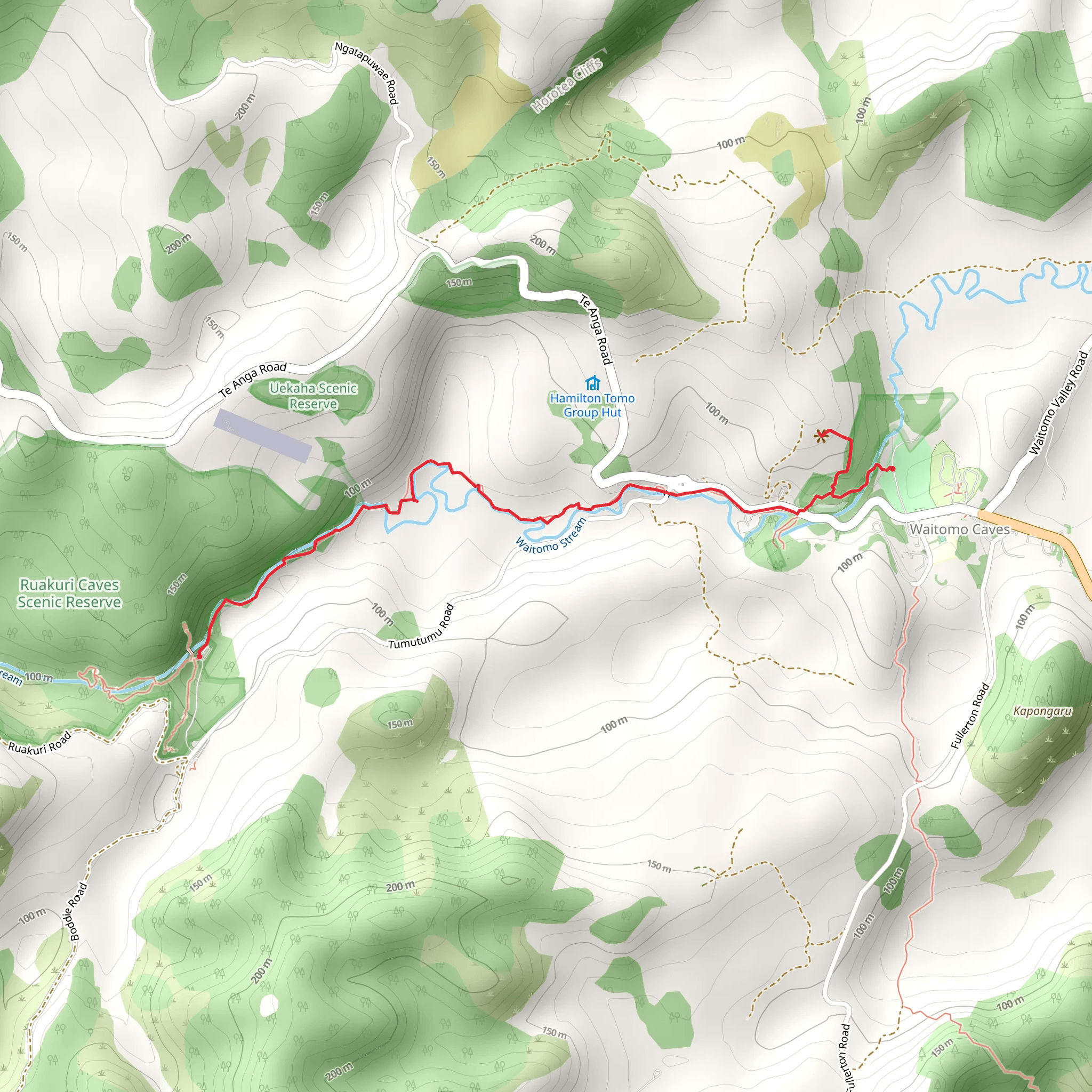 Waitomo Walkway mobile static map