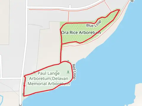 North Terrace Street Loop