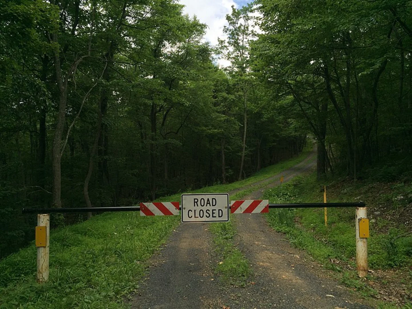 An image depicting the trail Hawk Campground Trail and its surrounding area.