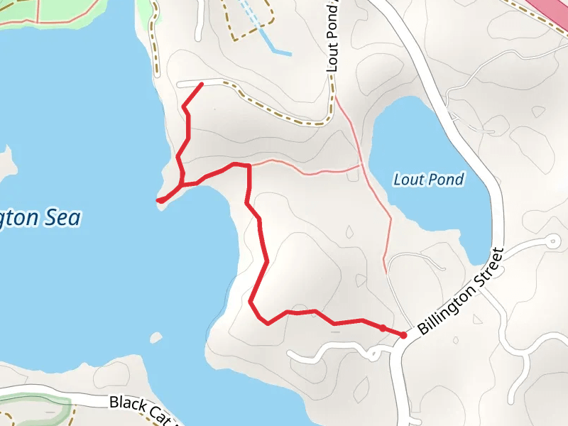 Billington Street via Billington Sea Trail