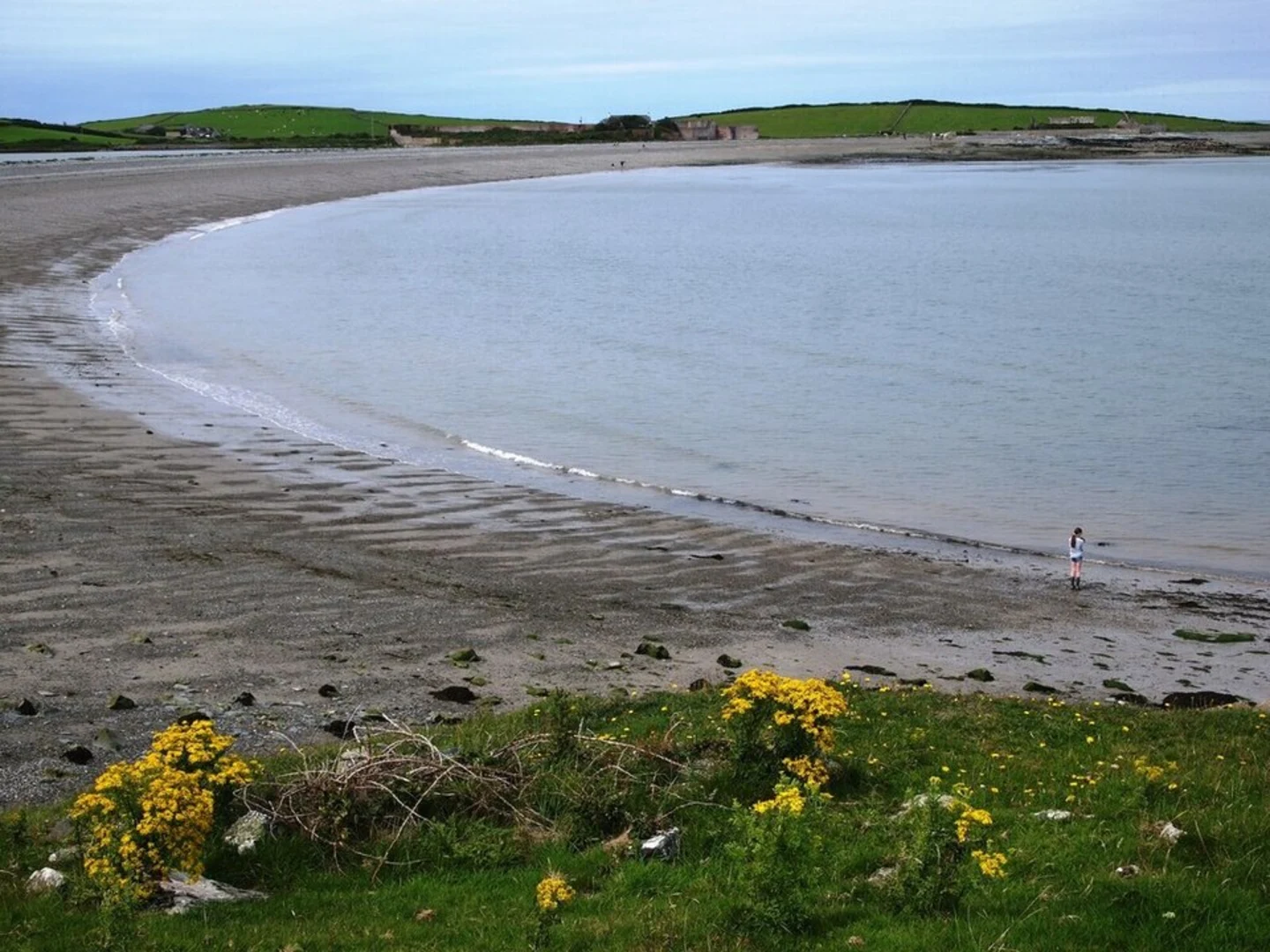 An image depicting the trail Cemlyn Bay Walk and its surrounding area.