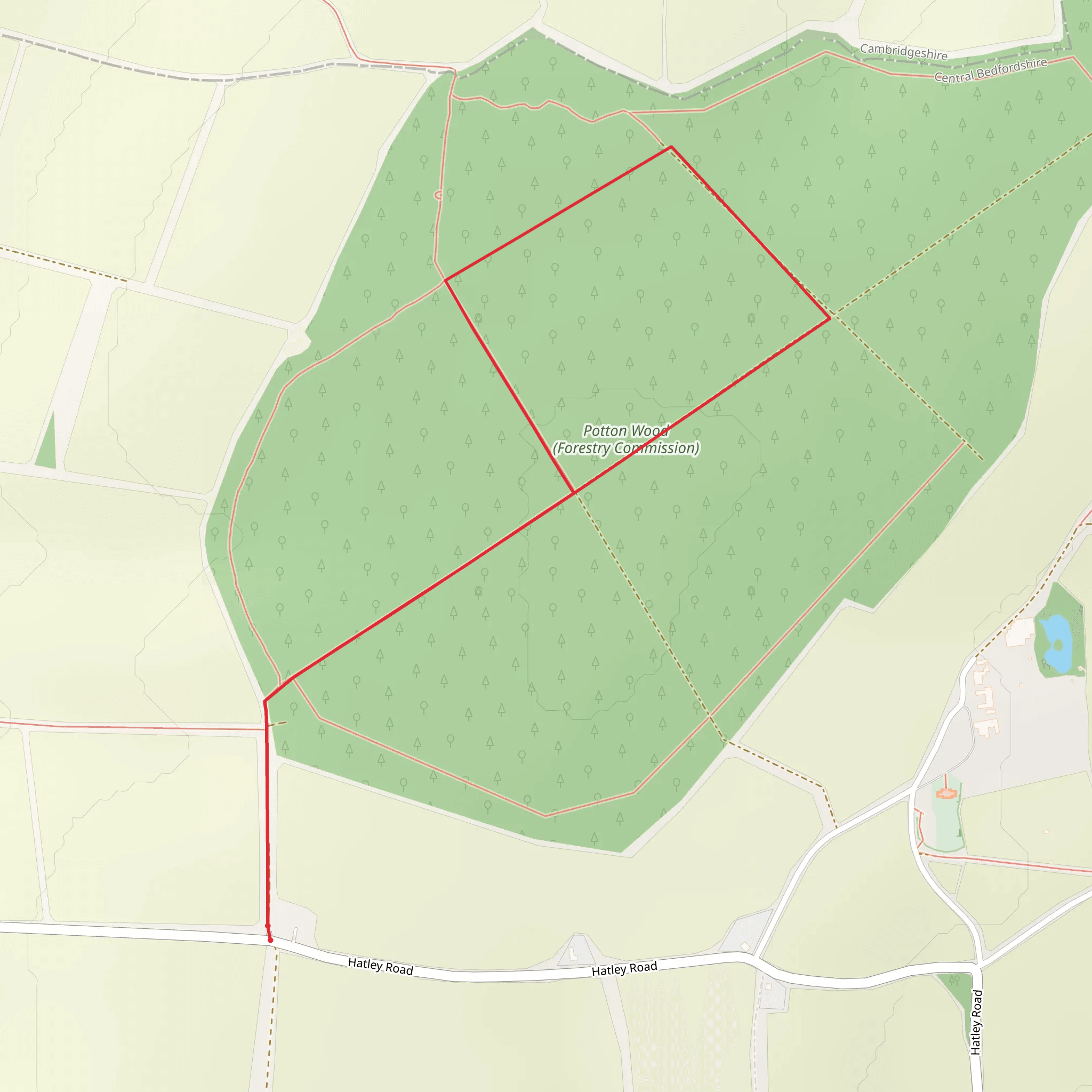 Potton Wood Loop | Central Bedfordshire | England