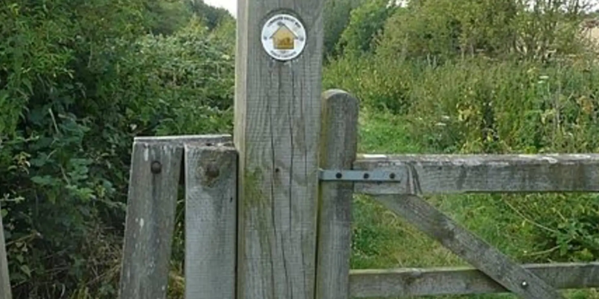 An image depicting the trail Lambourn Valley Way and its surrounding area.