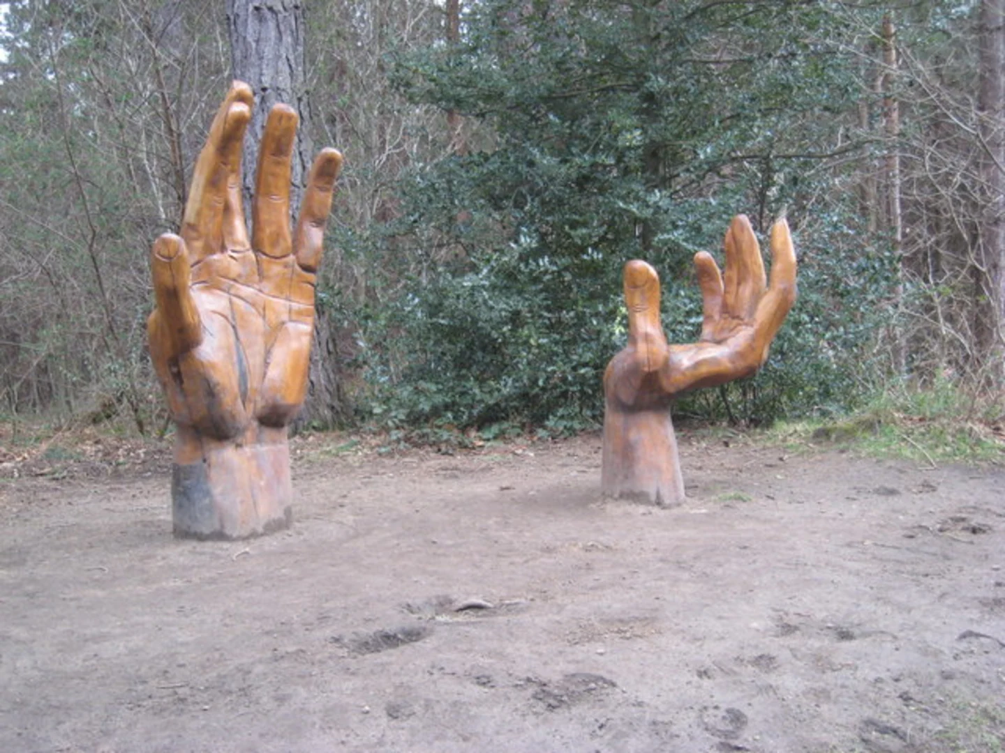 An image depicting the trail Chopwell Plantations Loop and its surrounding area.