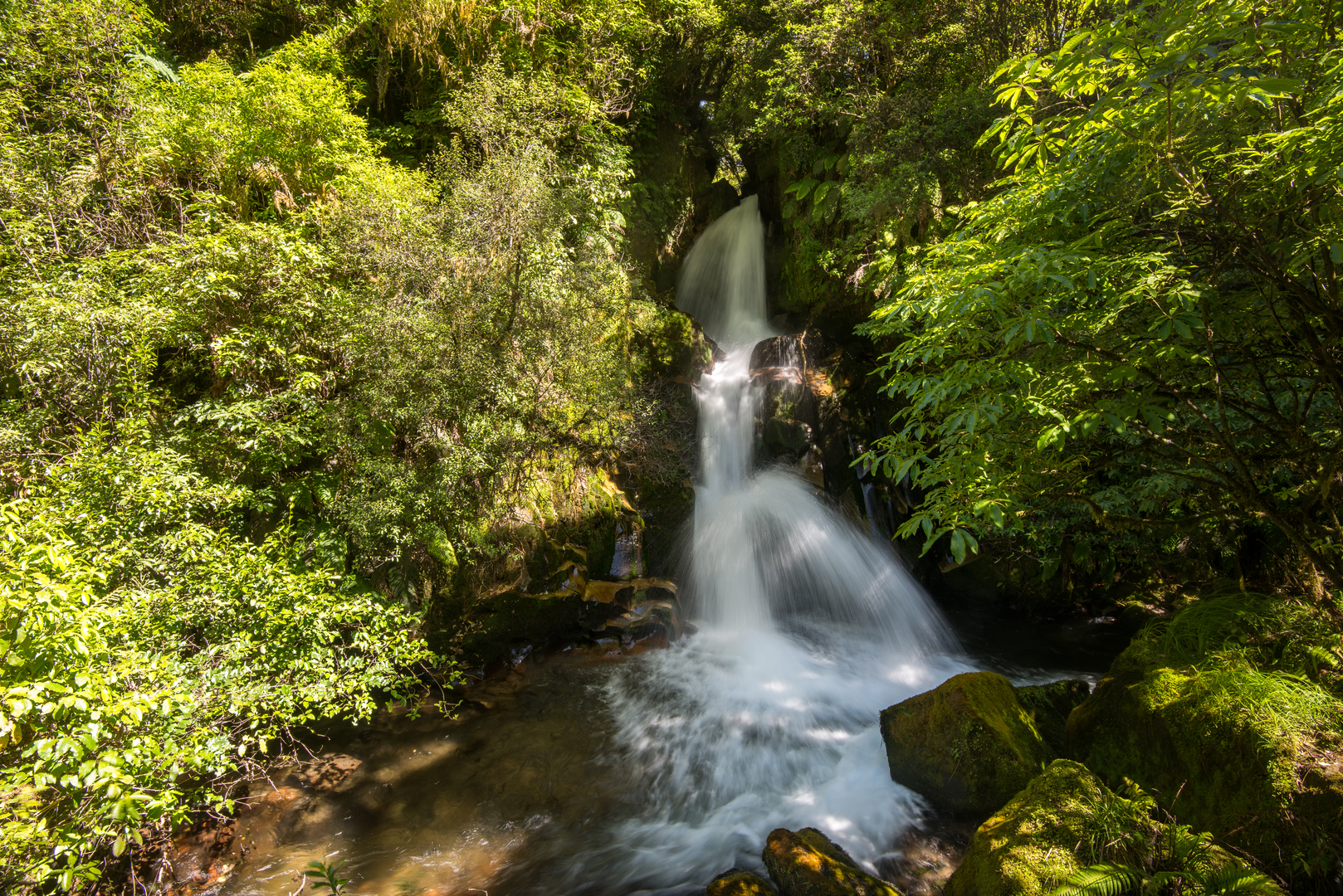 An image depicting the trail Waiatiu Falls and its surrounding area.