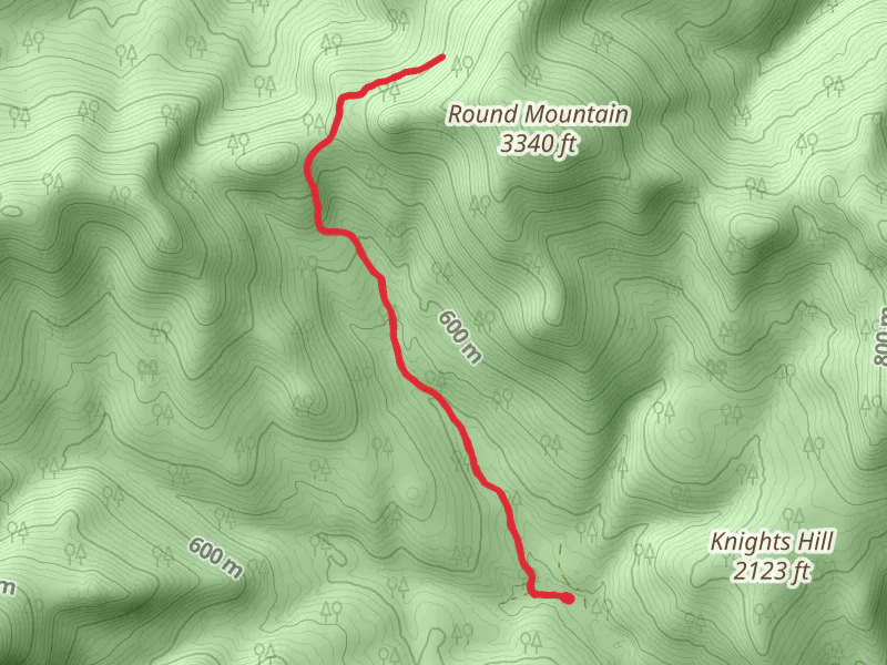 Morrill Brook Trail