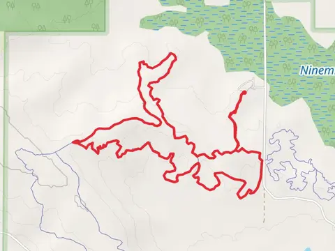 Up Nort, Outbound North and Chain Smoker Loop