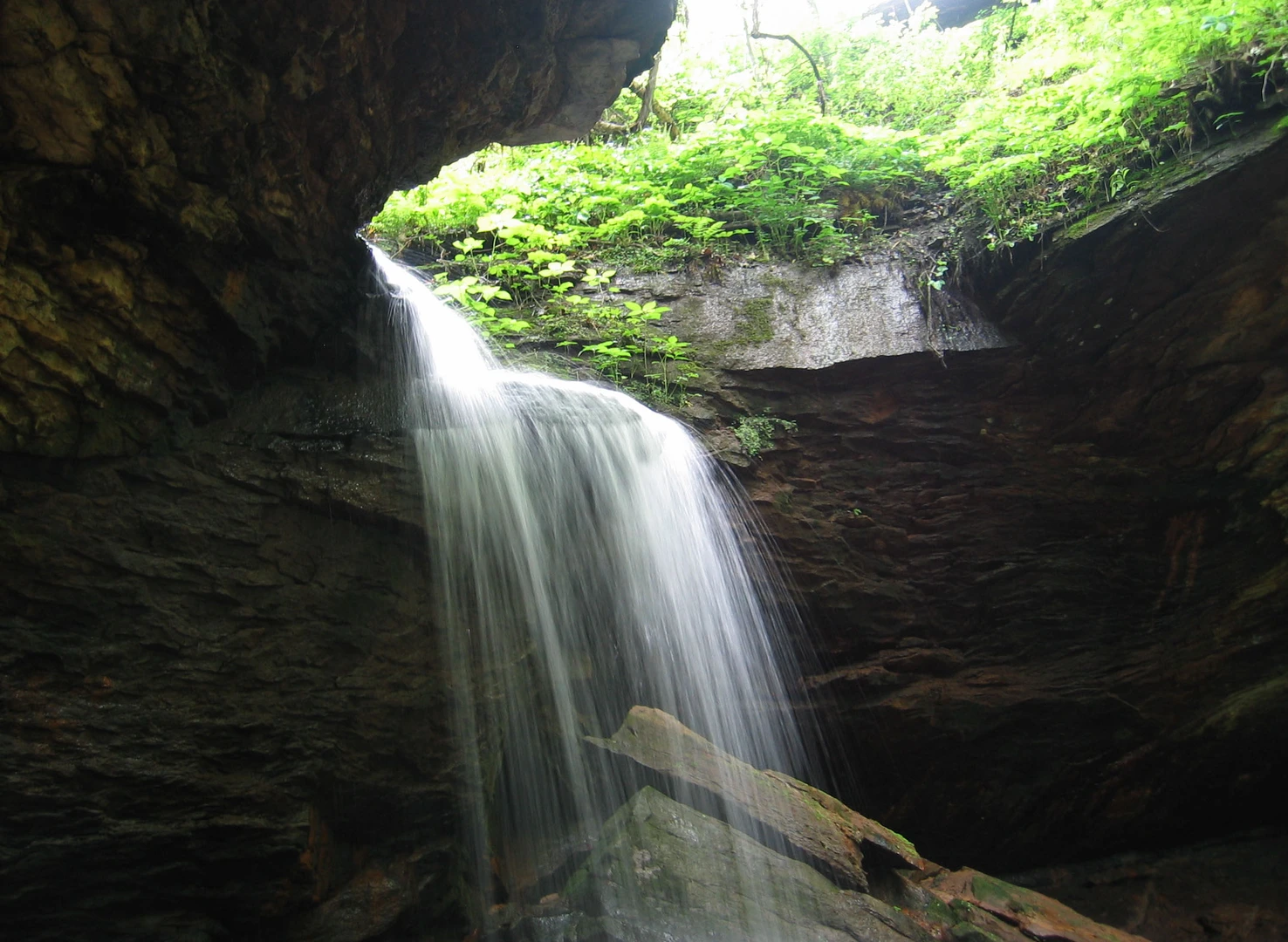 An image depicting the trail Traverse Creek Forest Trail - White and Lake Trail -Blue Loop and its surrounding area.