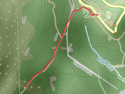 The Springs to Milles Track Lookout