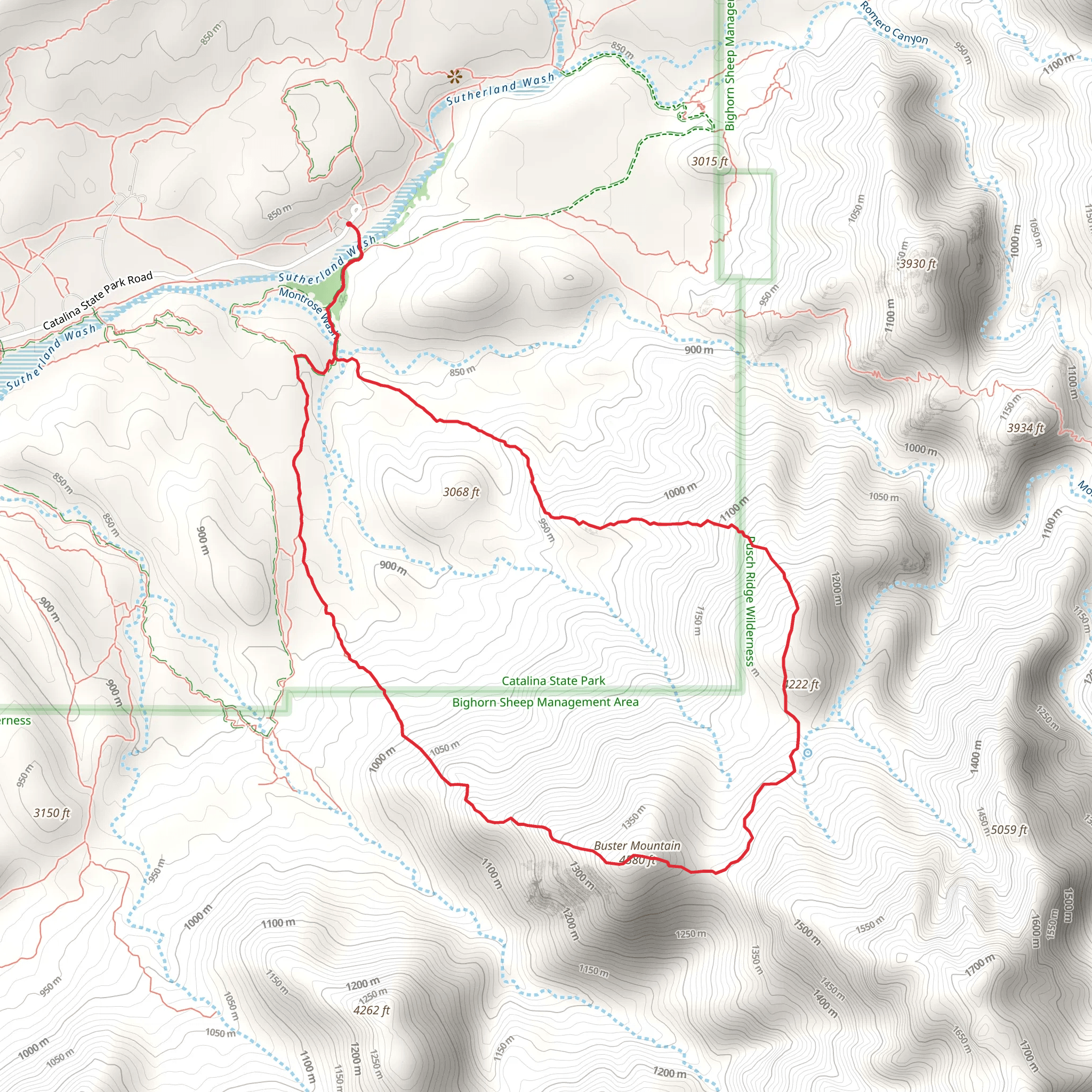 Buster Mountain Loop via Birding Trail mobile static map